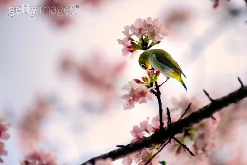 HypnoBirthing® Grandville Spring Series II 