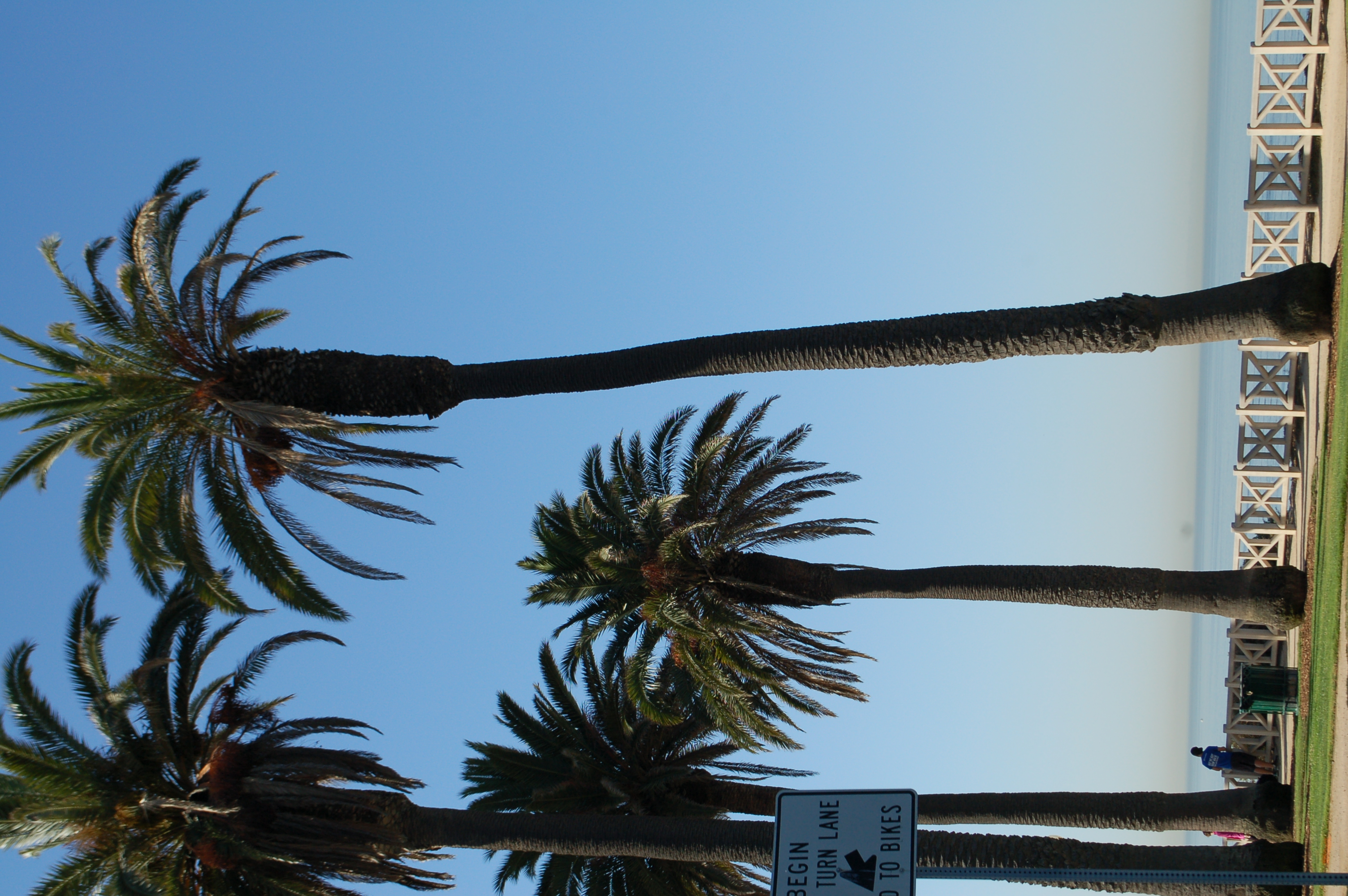 HypnoBirthing® Summer Session 