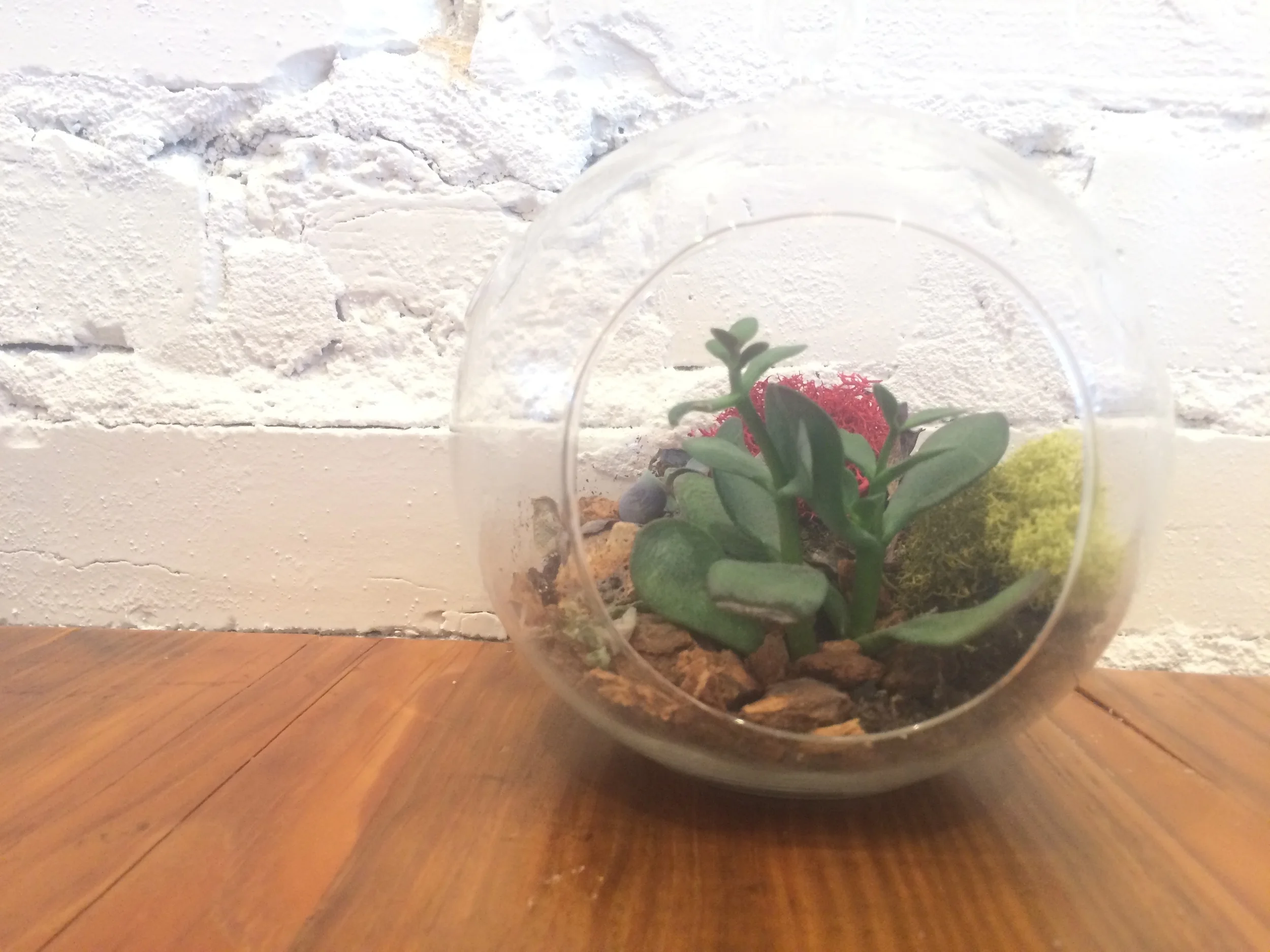 HypnoBirthing® Summer Session 