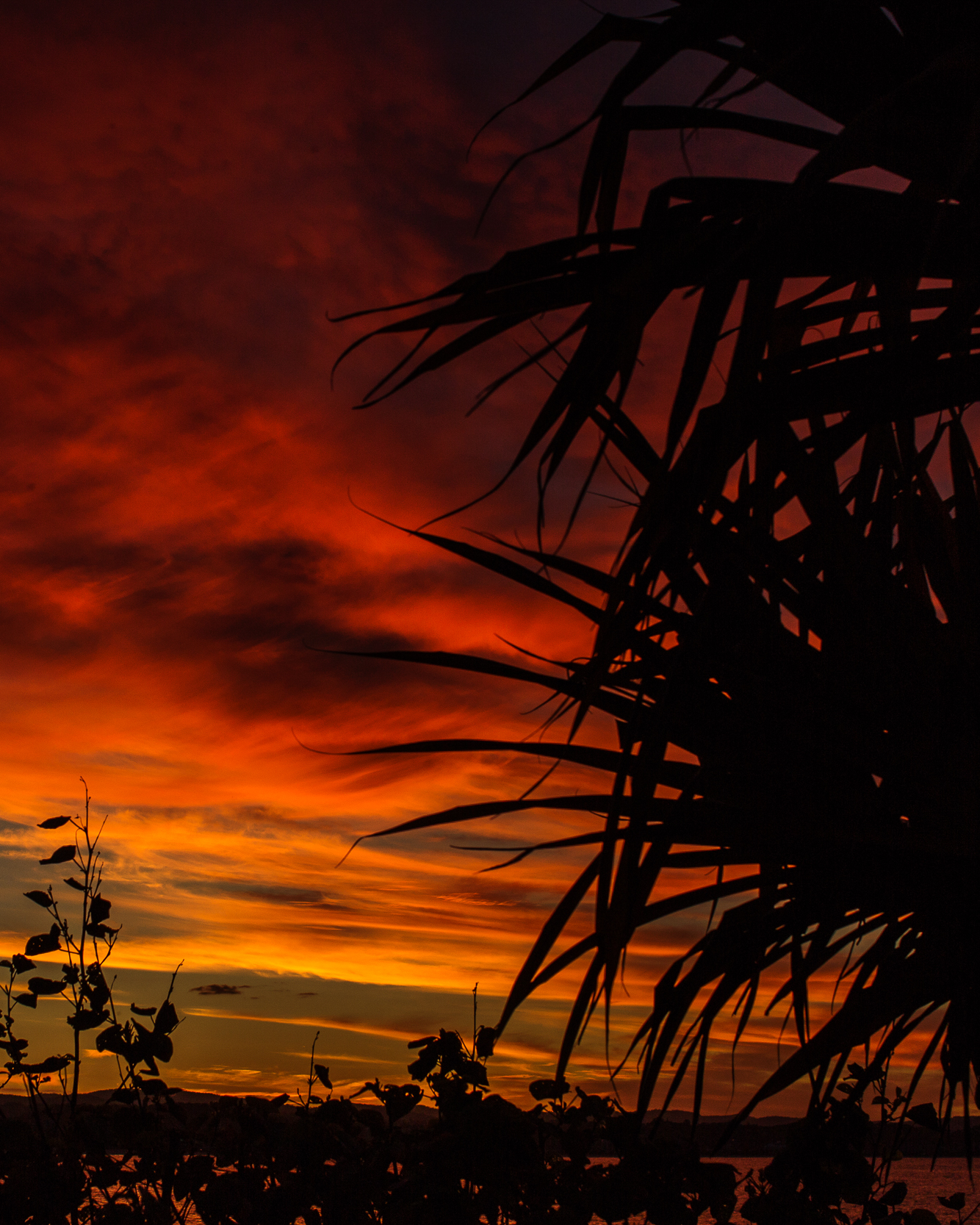 8D3A6412 cielo rojo.jpg