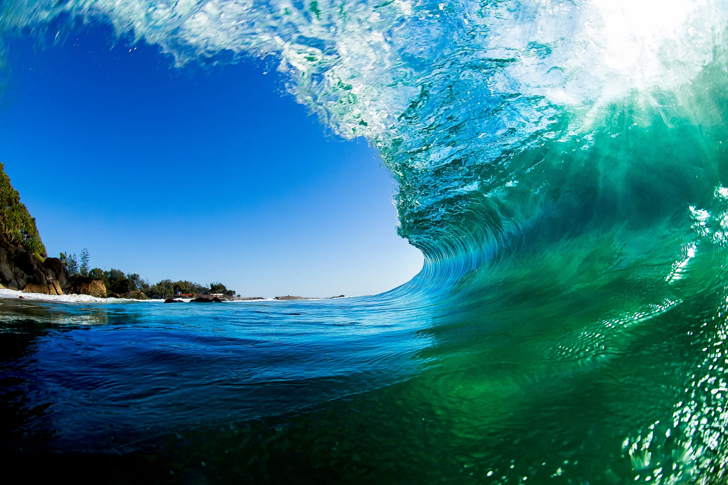 8D3A6572- wave froggies 2.jpg