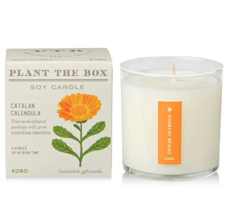 Celebrate sustainable living with the KOBO Catalan Calendula Plant the Box Candle, fresh cut flowers mixed with delicate grassy notes and a bouquet of orange blossoms.