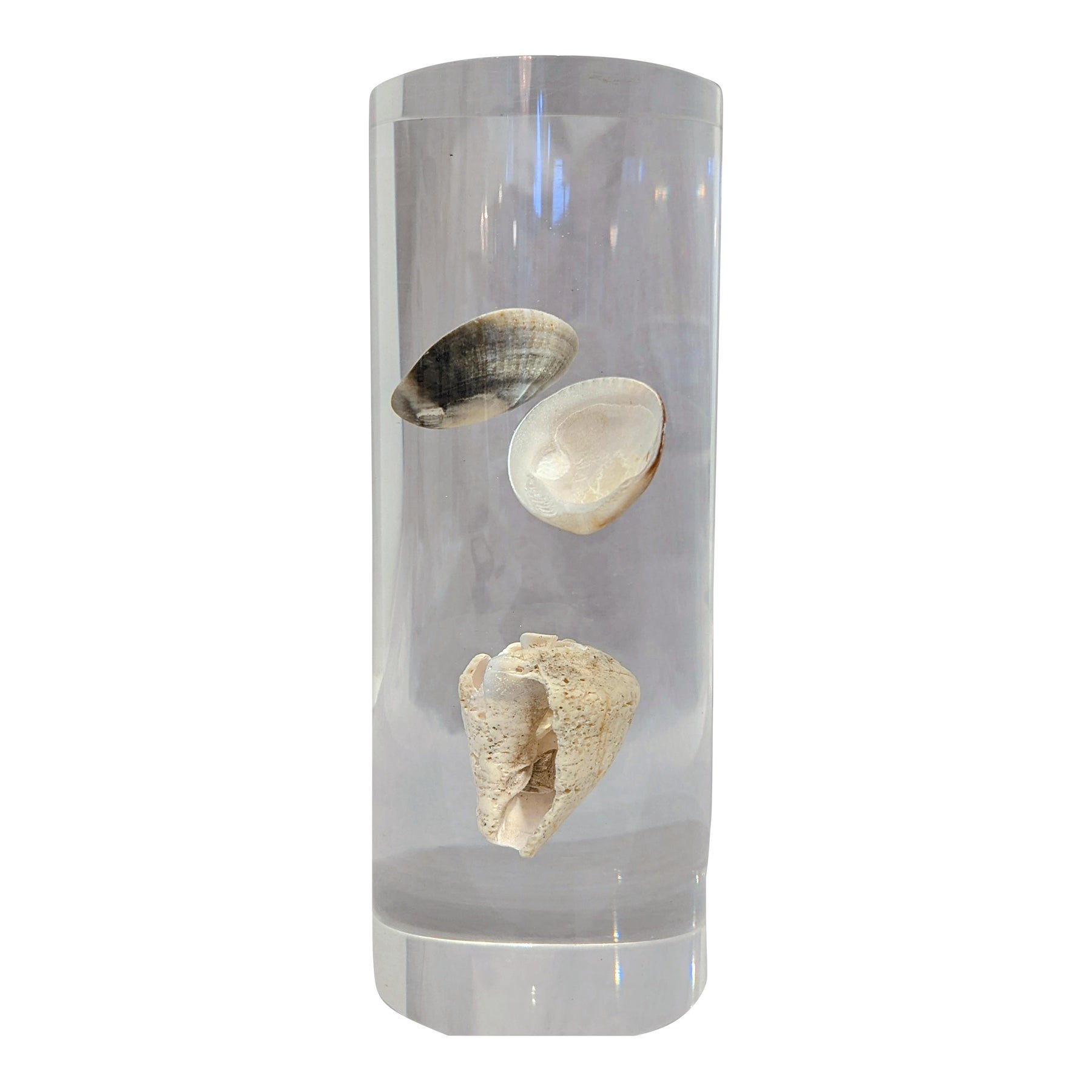 lucite-with-shells-8824.jpeg
