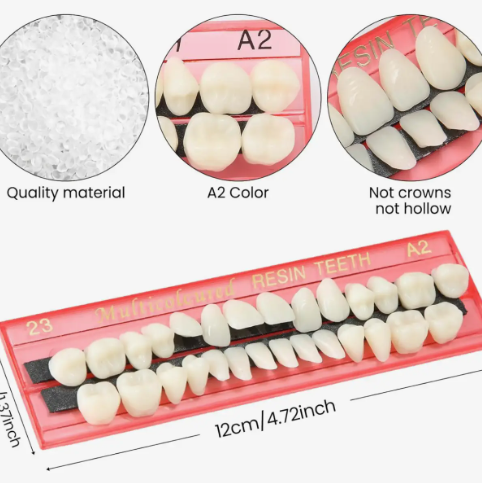 Showcase the detailed craftsmanship and sizing of the Resin Teeth by Flora & Fauna with helpful instructional product callouts.