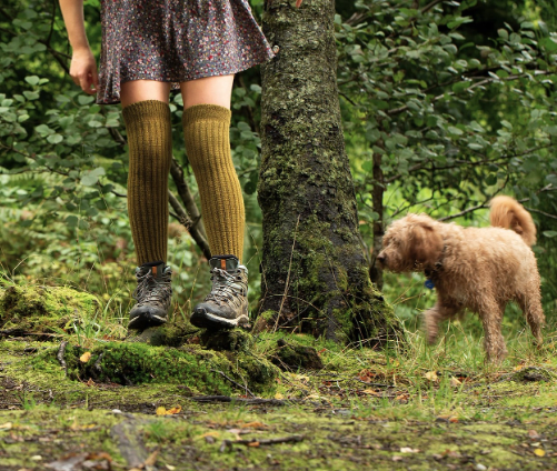 Samantha Holmes Alpaca Clothing and Gifts - Alpaca Chunky Knee Socks - Sage.png