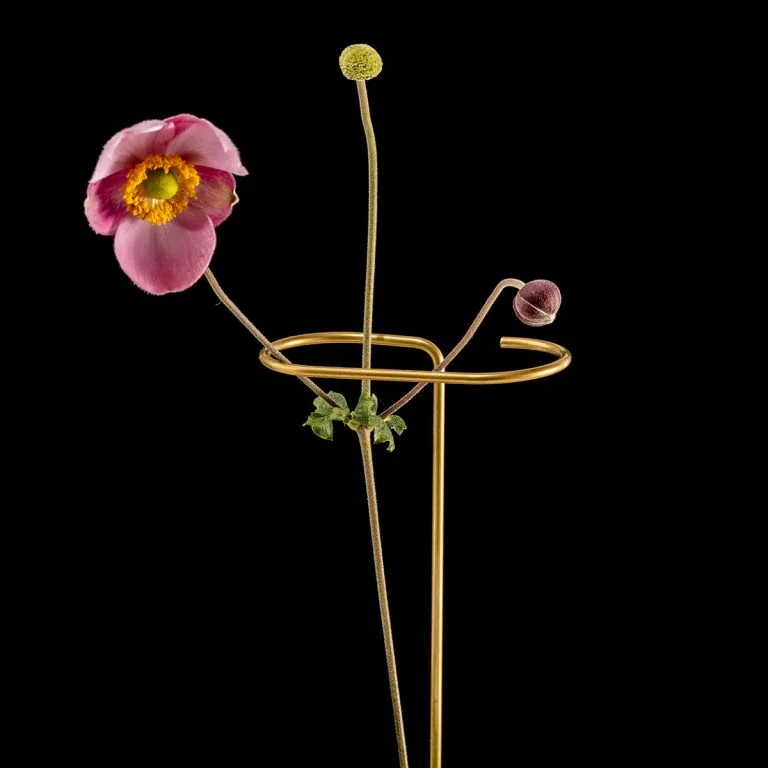 Plant_Sticks03-768x768.jpg