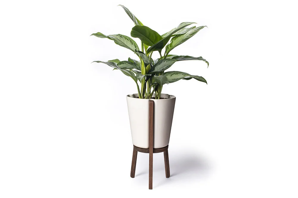 Fire Road Planter Floor 1.jpg