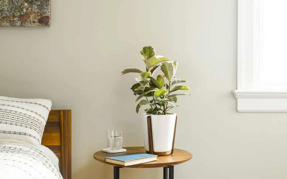 Fire Road Planter Small 1.jpg