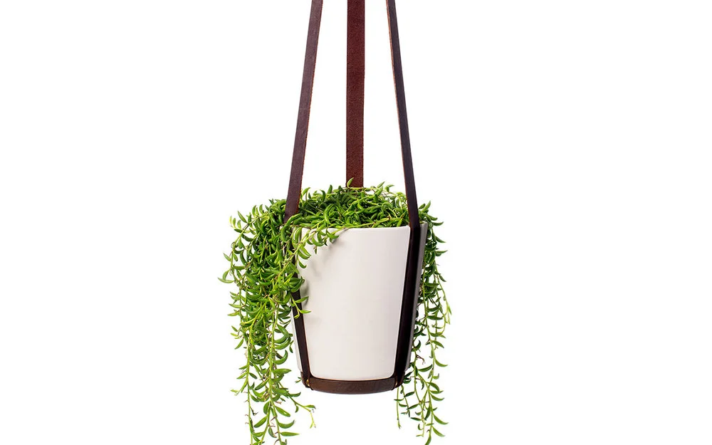 Fire Road Planter Hanging 2.jpg