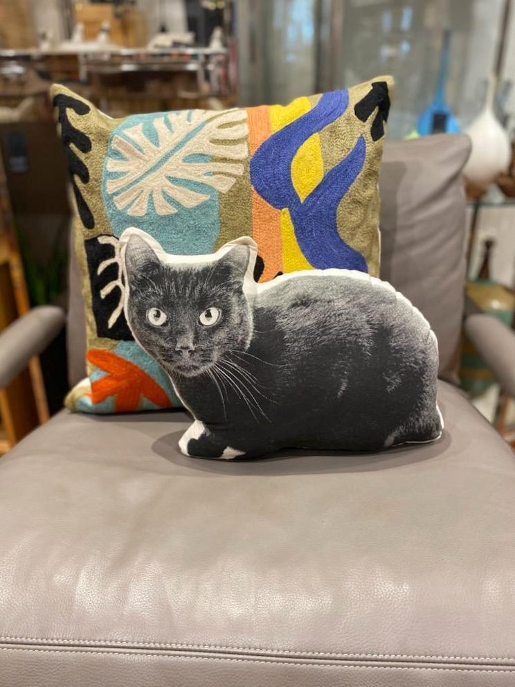 Black Cat Pillow on Milo Baughman Chair