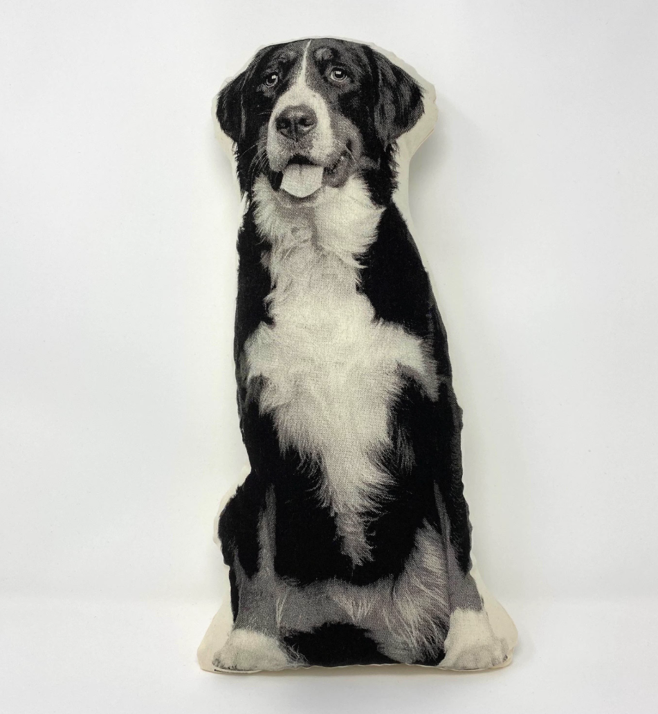 BERNESE MOUNTAIN DOG PILLOW.png