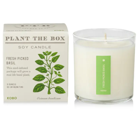 Elevate your home fragrance with the clean-burning KOBO Fresh Picked Basil Plant the Box Candle, combining peppery basil scents with eco-friendly plantable packaging.