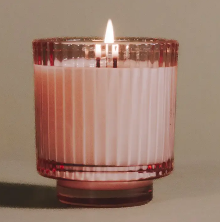 The Elsewhere Candle collection showcasing Cactus Flower's unique fragrance scent profile and sustainable glass packaging.