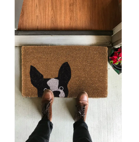 Stylish front entry setup showcasing the Peeking Dog Doormat by Abbott placed neatly outside a doorway.