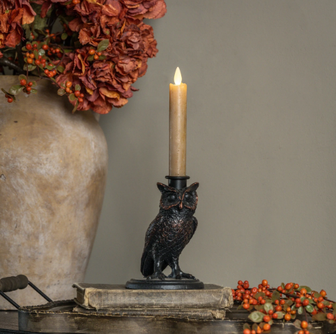 Create an enchanting autumn vignette with the Black Owl Taper Candle Holder by Ragon House, styled alongside rustic books and warm seasonal florals.