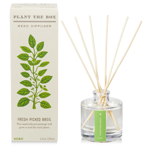 Experience garden-fresh aroma with the Fresh Picked Basil Diffuser by KOBO, featuring a glass vessel with reeds alongside its unique plantable packaging.