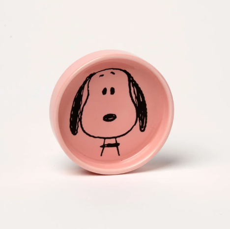 Peanuts Pin Dishes