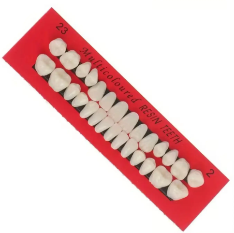 Resin Teeth