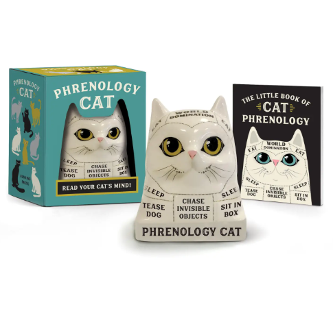 Decode your pet's personality with the Phrenology Cat kit by Hachette Book Group. This charming, interactive ceramic bust is the ultimate must-have for every curious cat owner.