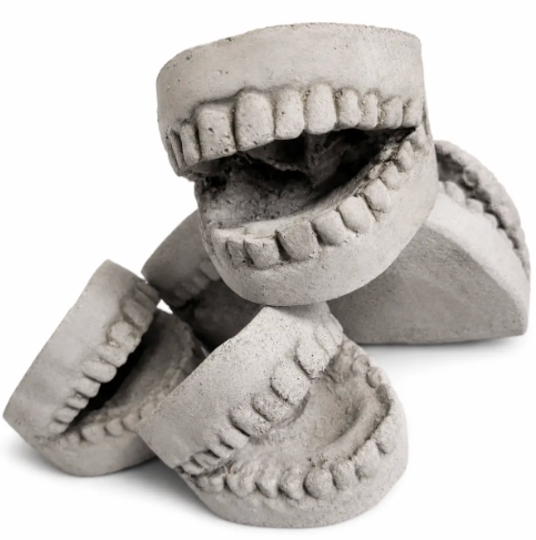 Style your curiosity cabinet with a stacked arrangement of handmade Concrete Teeth by Flora & Fauna.