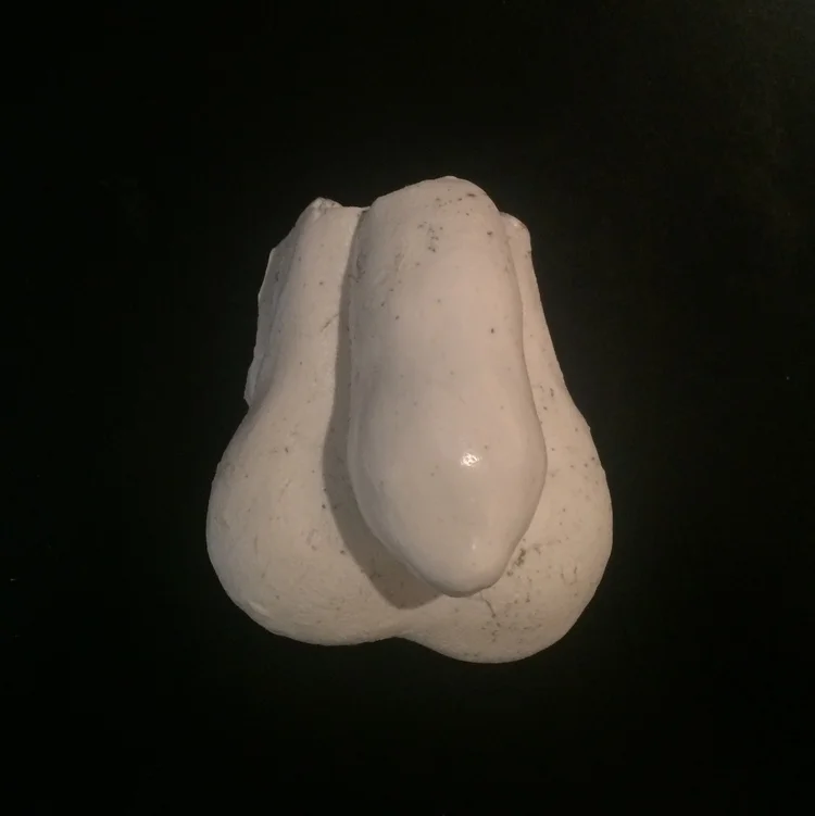 Renaissance Dick