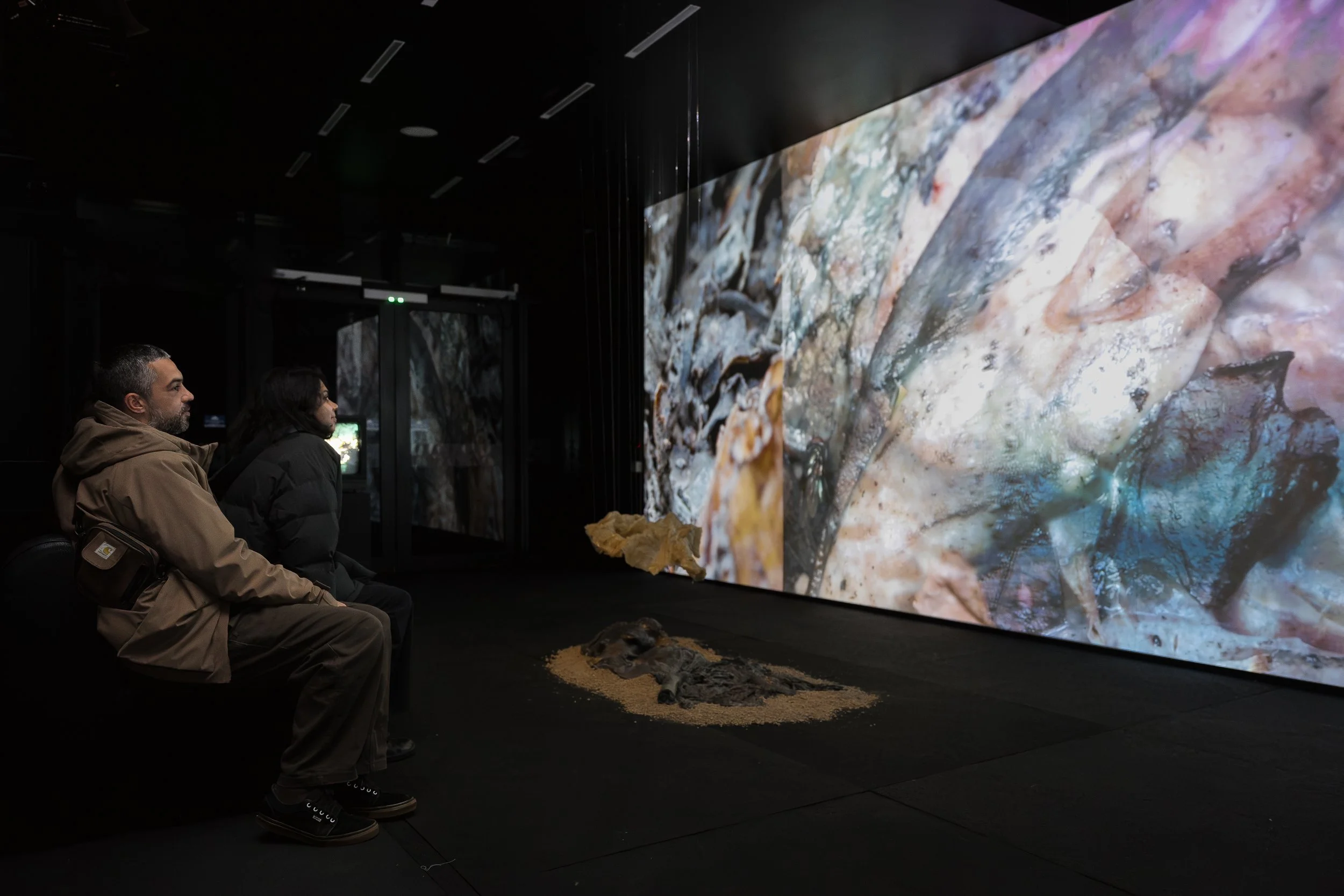 2026-SGM-Emergence-y-Astrid Mulder-HR-147.jpg