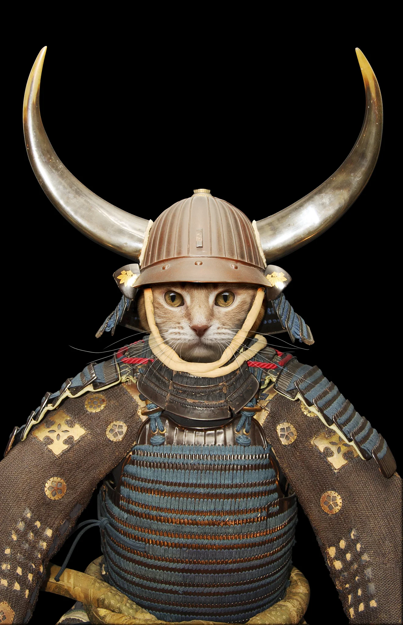 SamuraiBrim_CompositePhotography_EdwardBoePhotography.jpg