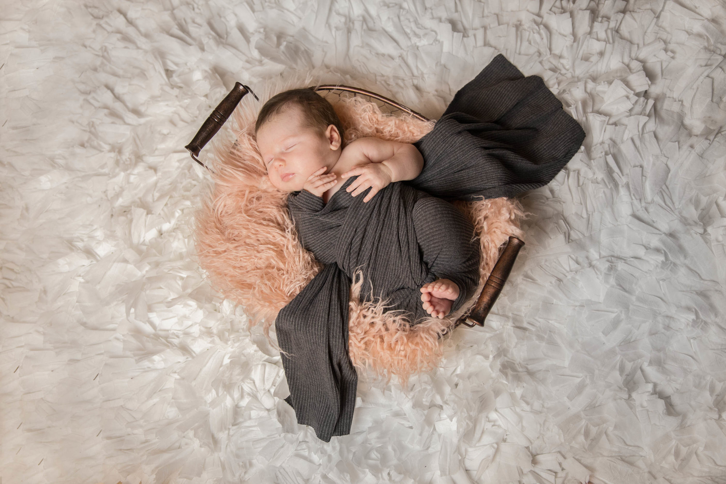 Gainesville Newborn Photography