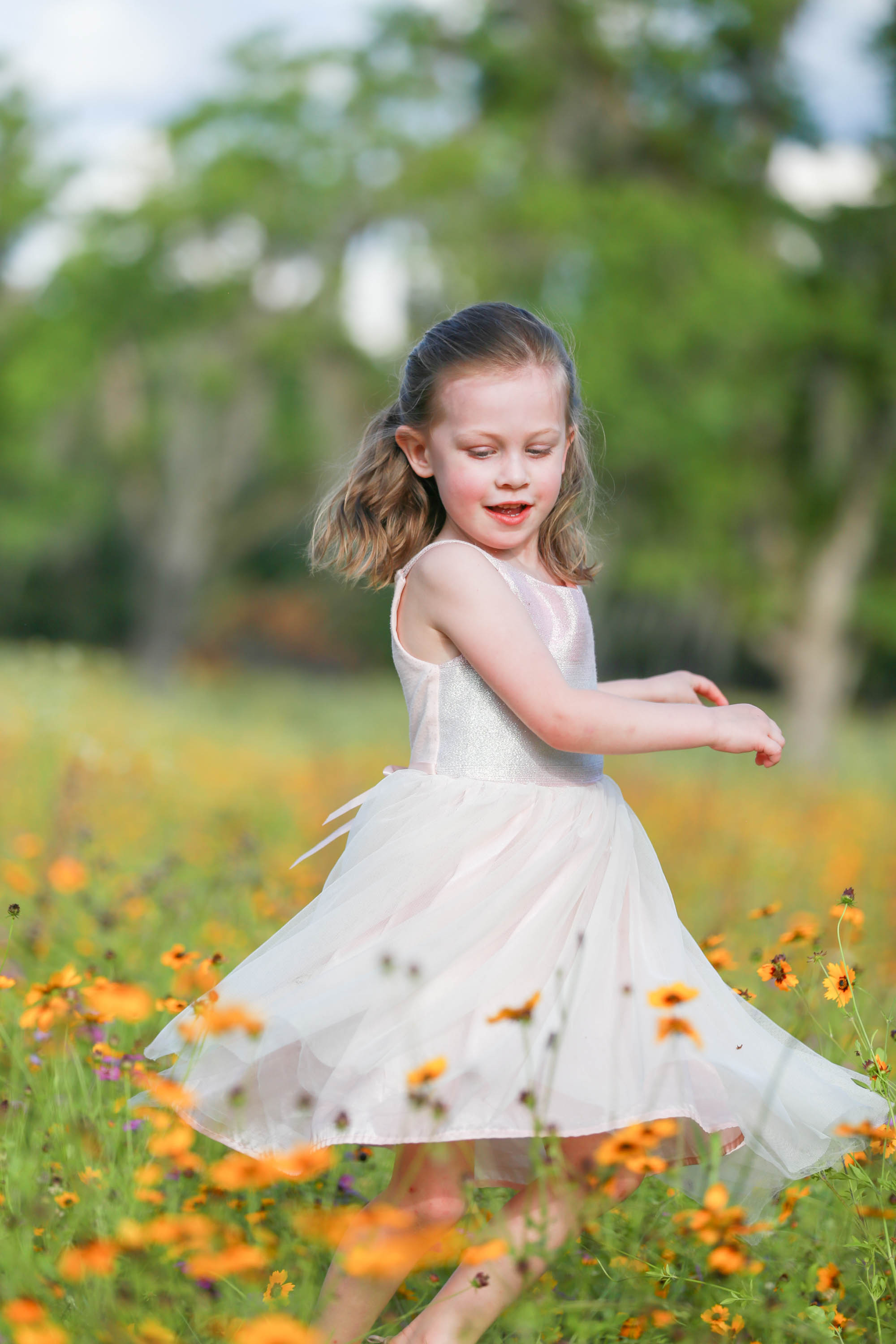 Wildflower Field Photography