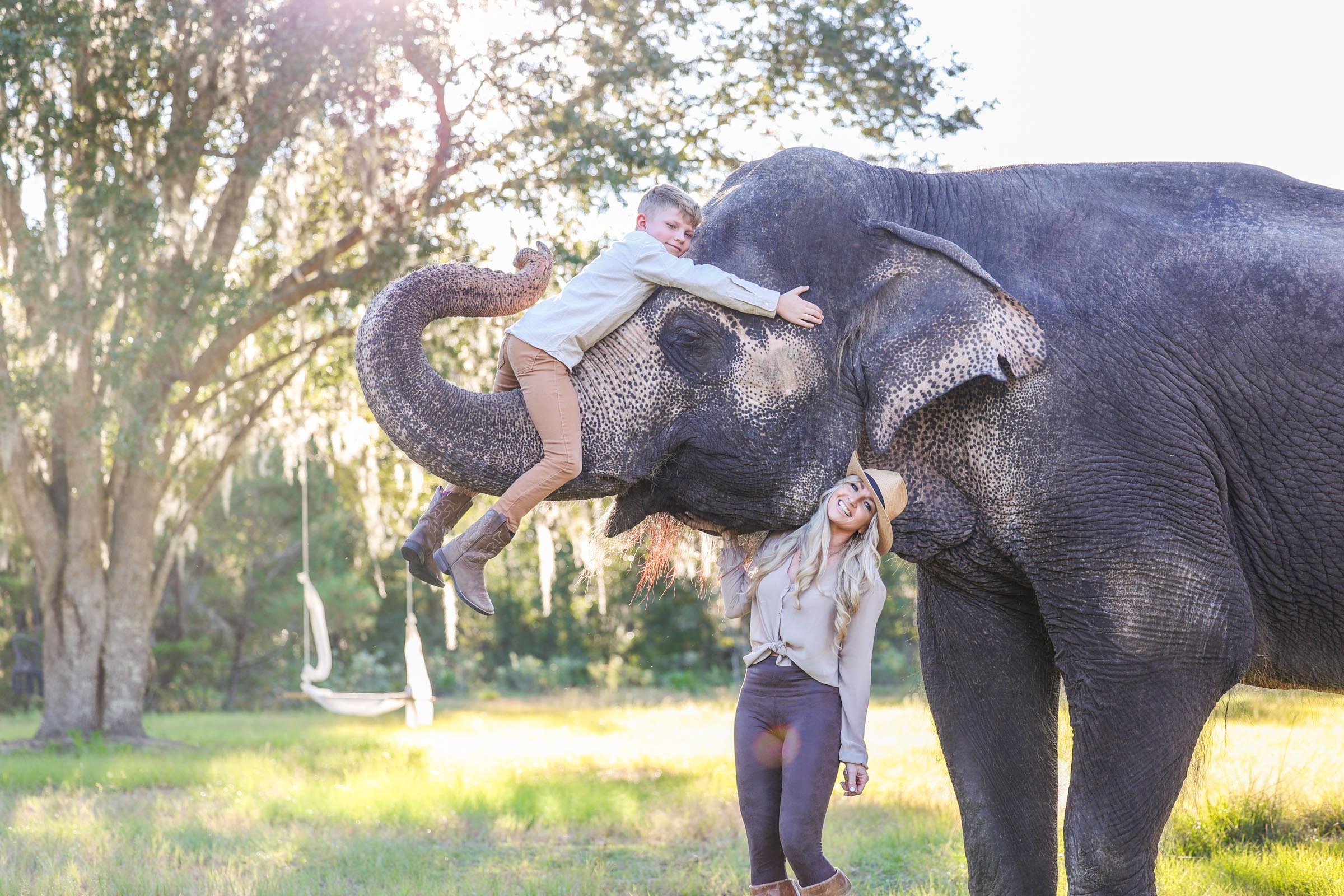 Elephant Gainesville Photography