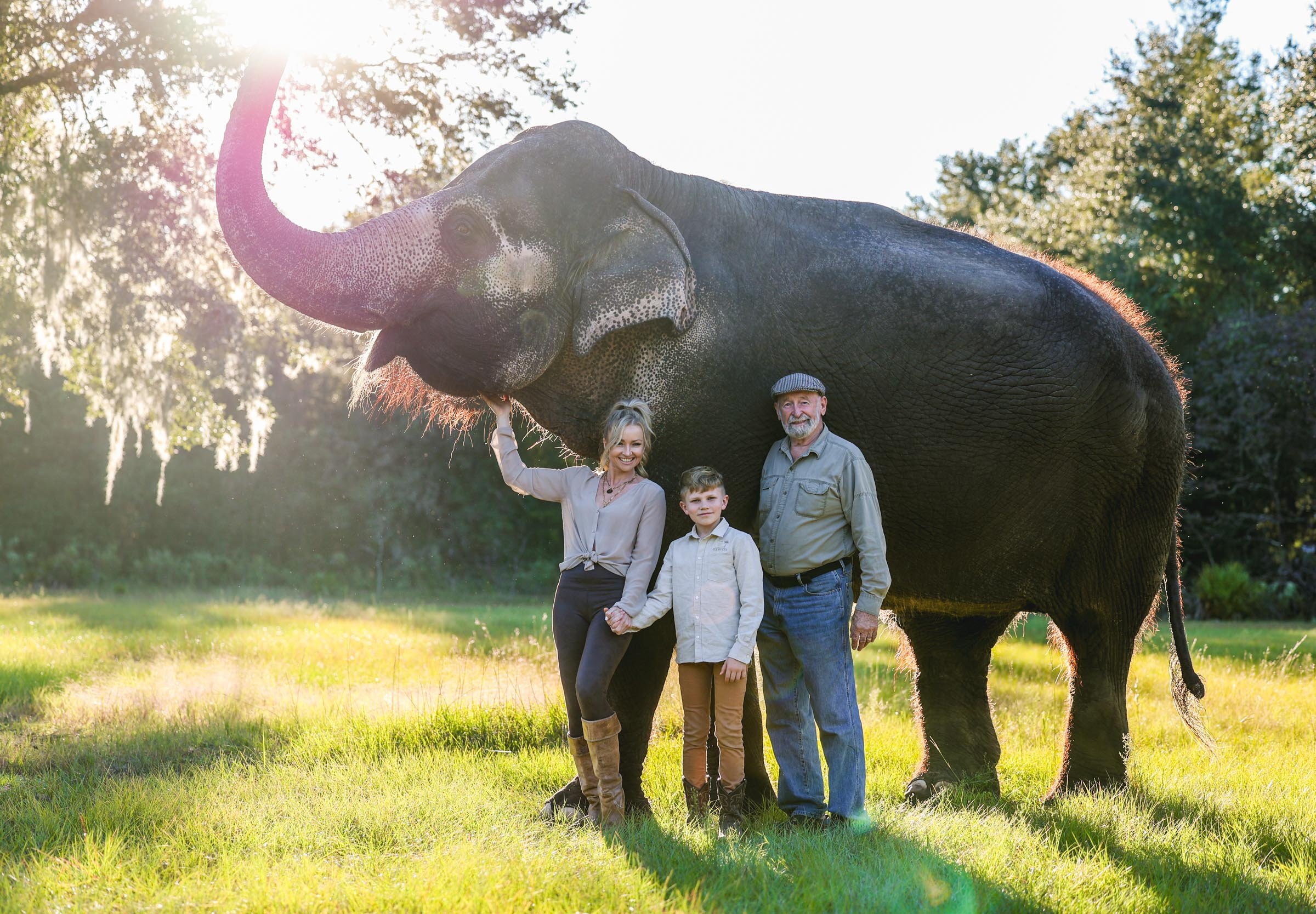 Elephant Gainesville Photography