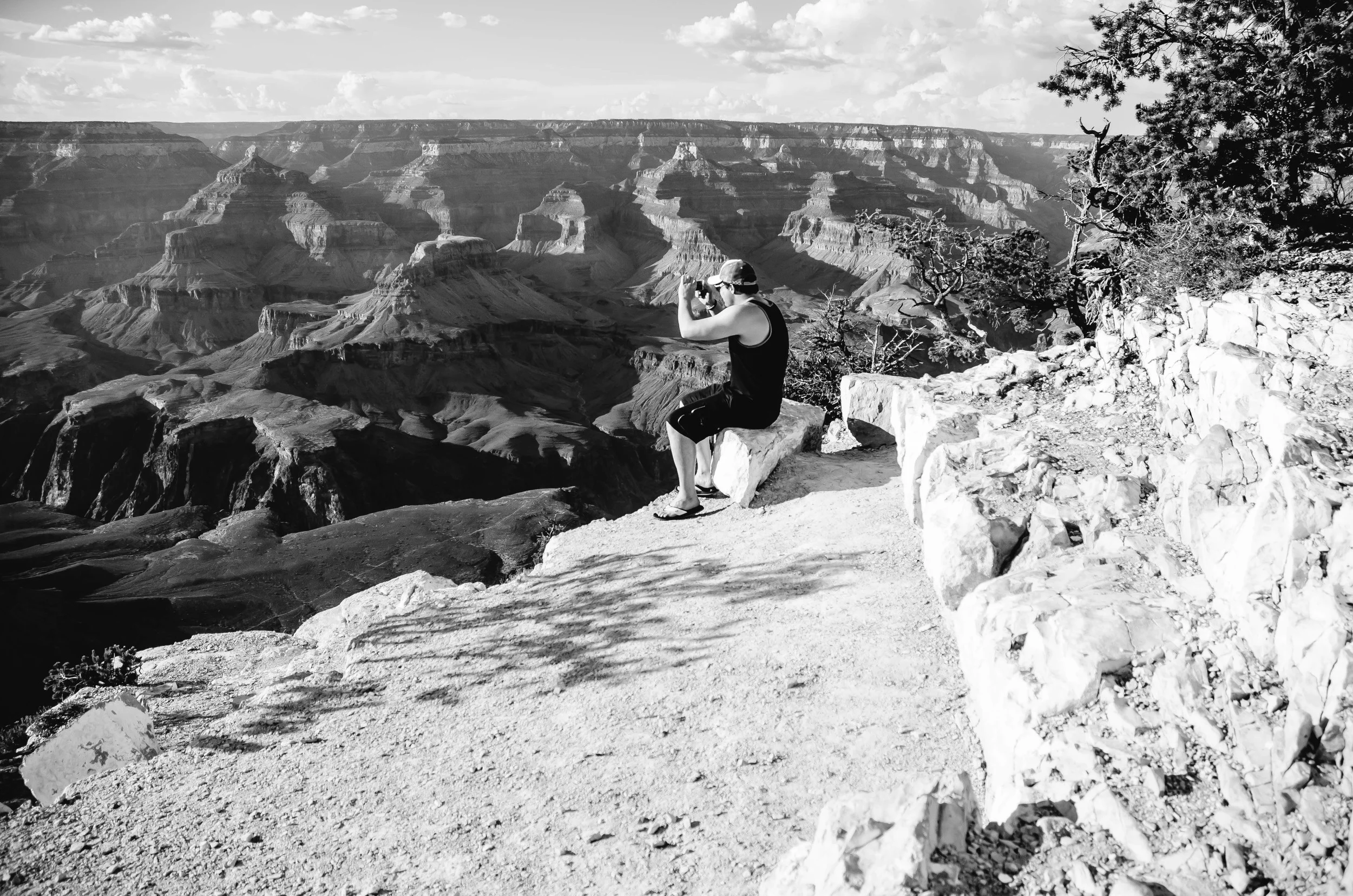 goOse taking Photo Grand Canyon_.jpg