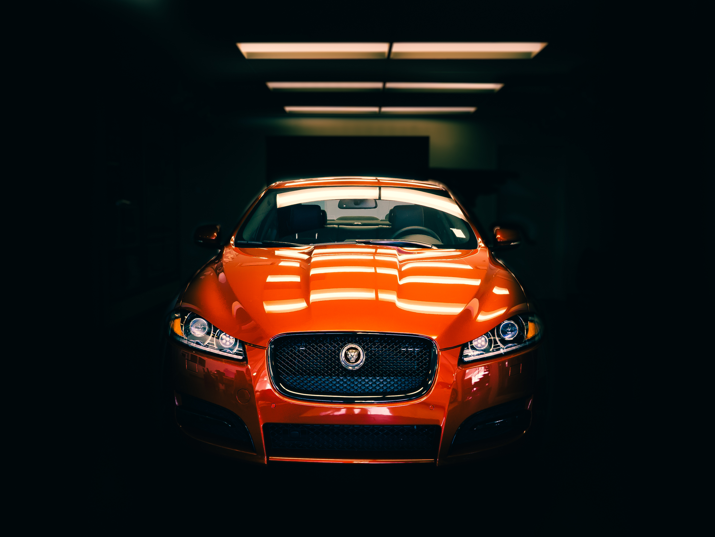 Jaguar 2015 - Gustav nel
