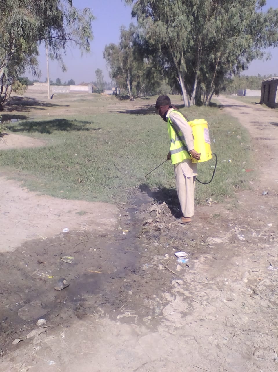 Clearing mosquitoes preventing Dengue, Majukay