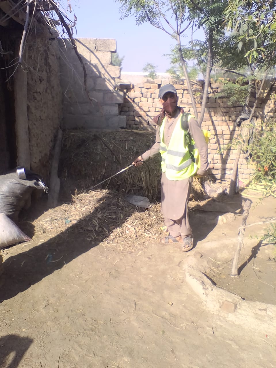 Yards and communal spaces are safe for meeting together in Majukay