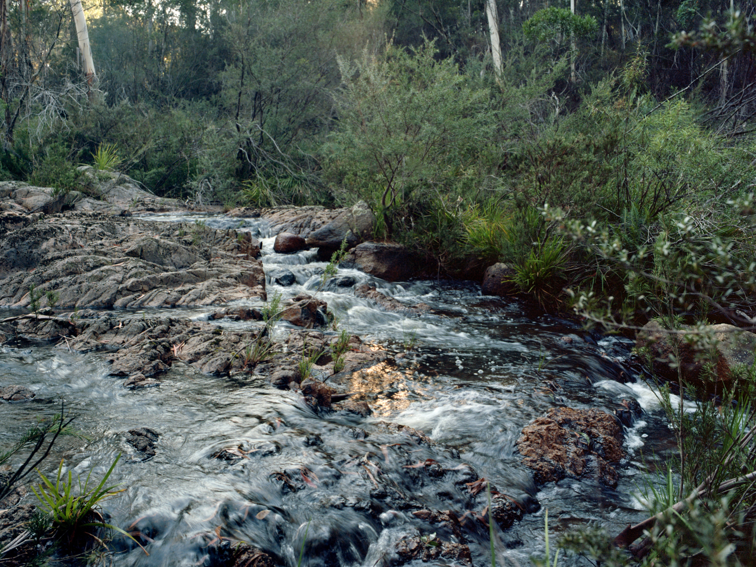 White Rock Creek