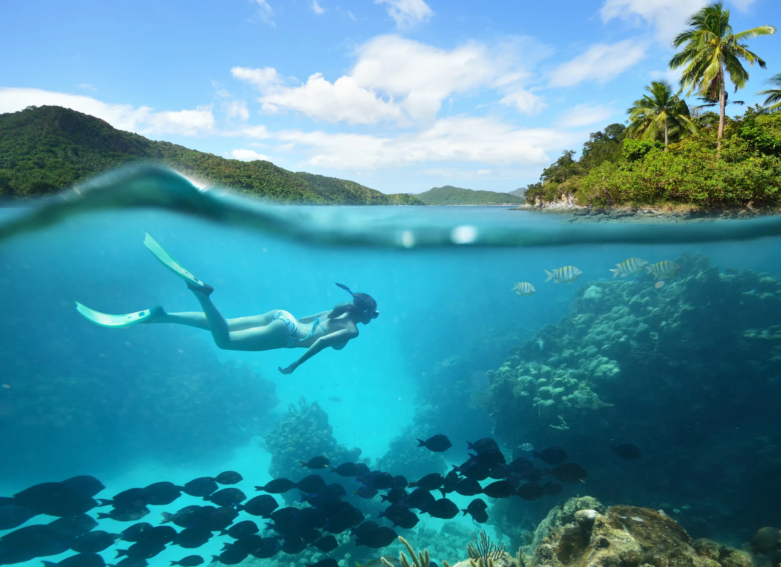  DISCOVER A NEW WORLD BENEATH. 