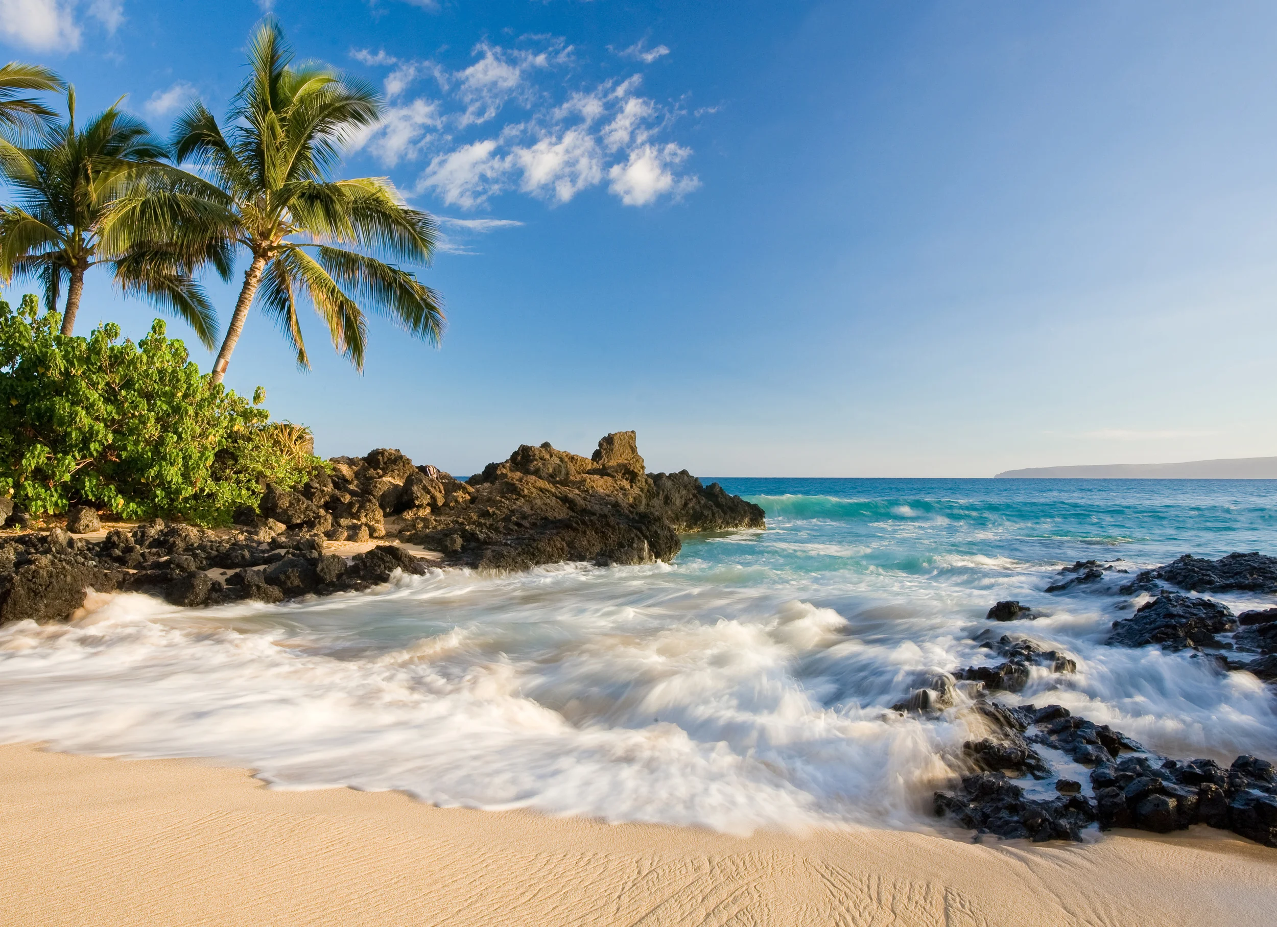  FROM THE BEACHES&nbsp;  OF KAUAI TO…  