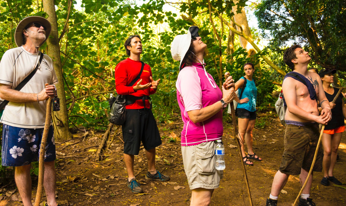 As we paddled and hiked to Wailua Falls, Aaron told us about historical sites along the trek, pointed out incredible songbirds, and made sure we were safe, comfortable and having fun. He and his team are simply outstanding.