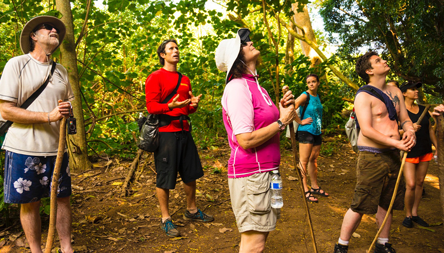 Aaron Martin, owner of ActivityKauai.com often leads kayaking and other adventure tours to amazing locations on Kauai's interior. Here, he briefs a group of visitors who kayaked the Wailua River and hiked through rainforest to Wailua Falls about the island's ancestral past and the spectacular songbirds living beneath the dense tree canopy.