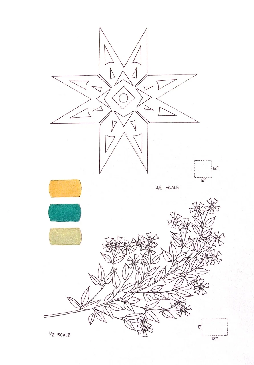 Starjasminedrawing.jpg