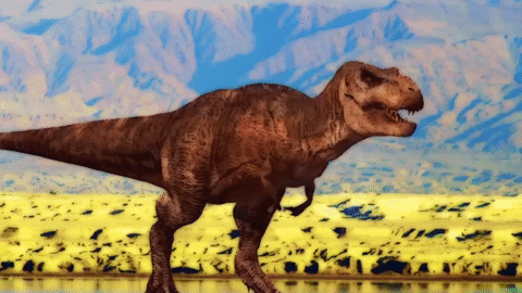 Animated GIF-source copy 10.gif