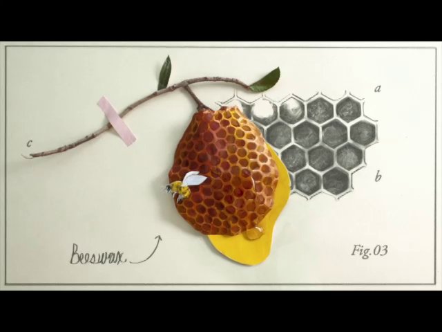 BurtsBees "BrandStory"