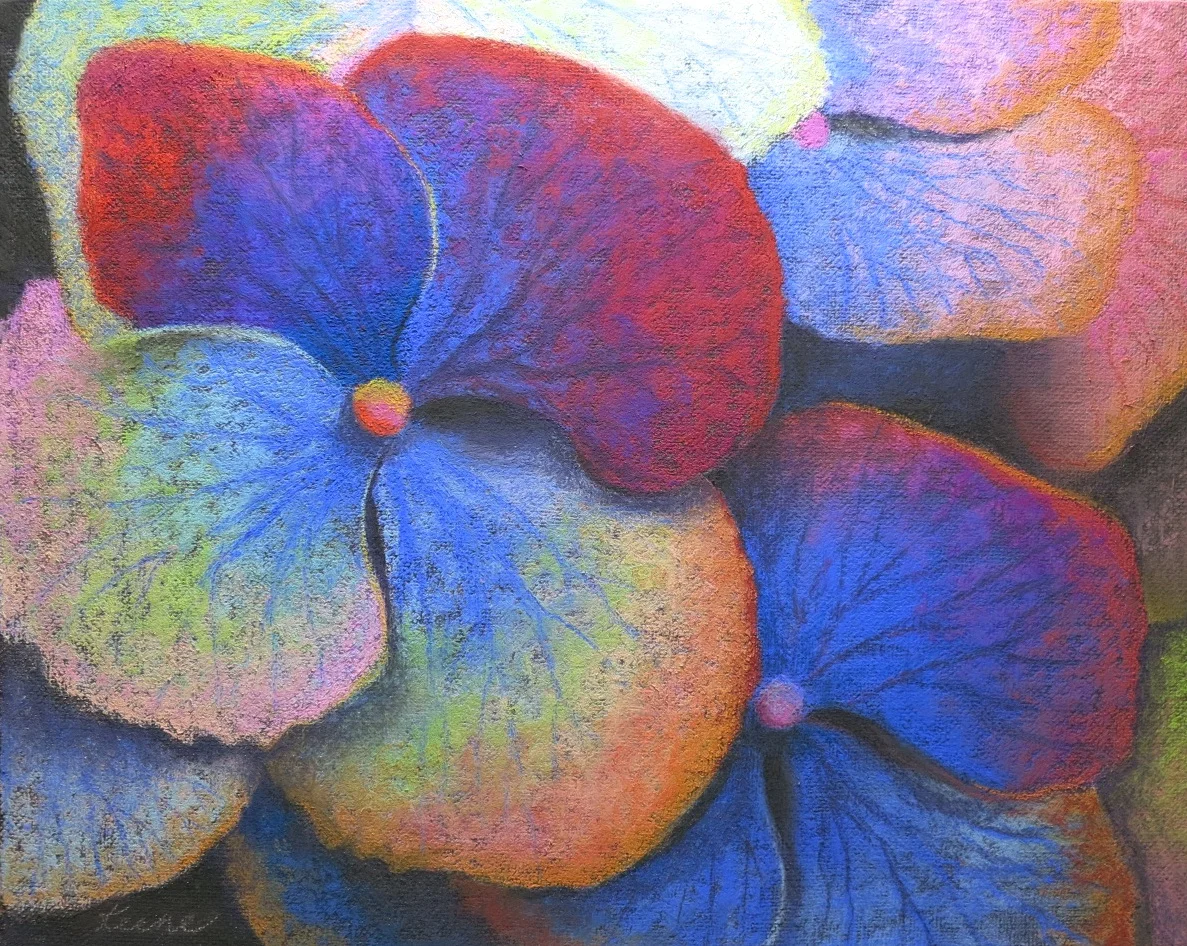 Heavenly Hydrangeas