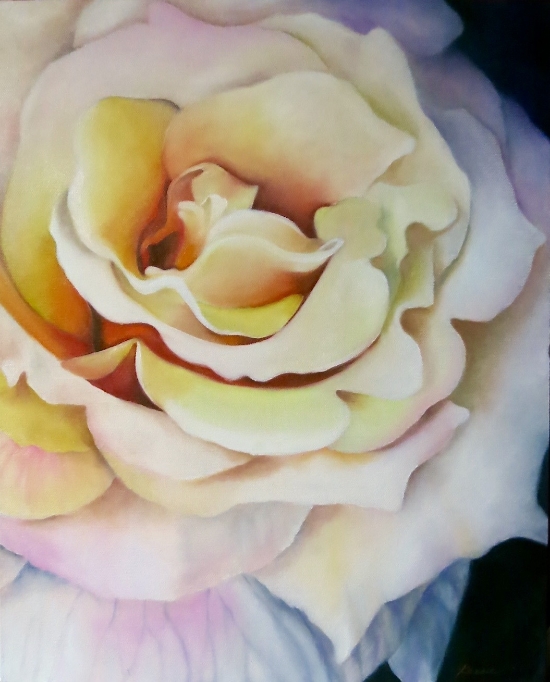 "First Rose of Summer" 20" x16" Oil on wrapped canvas 