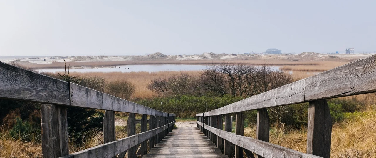 dock to vacancy.jpg