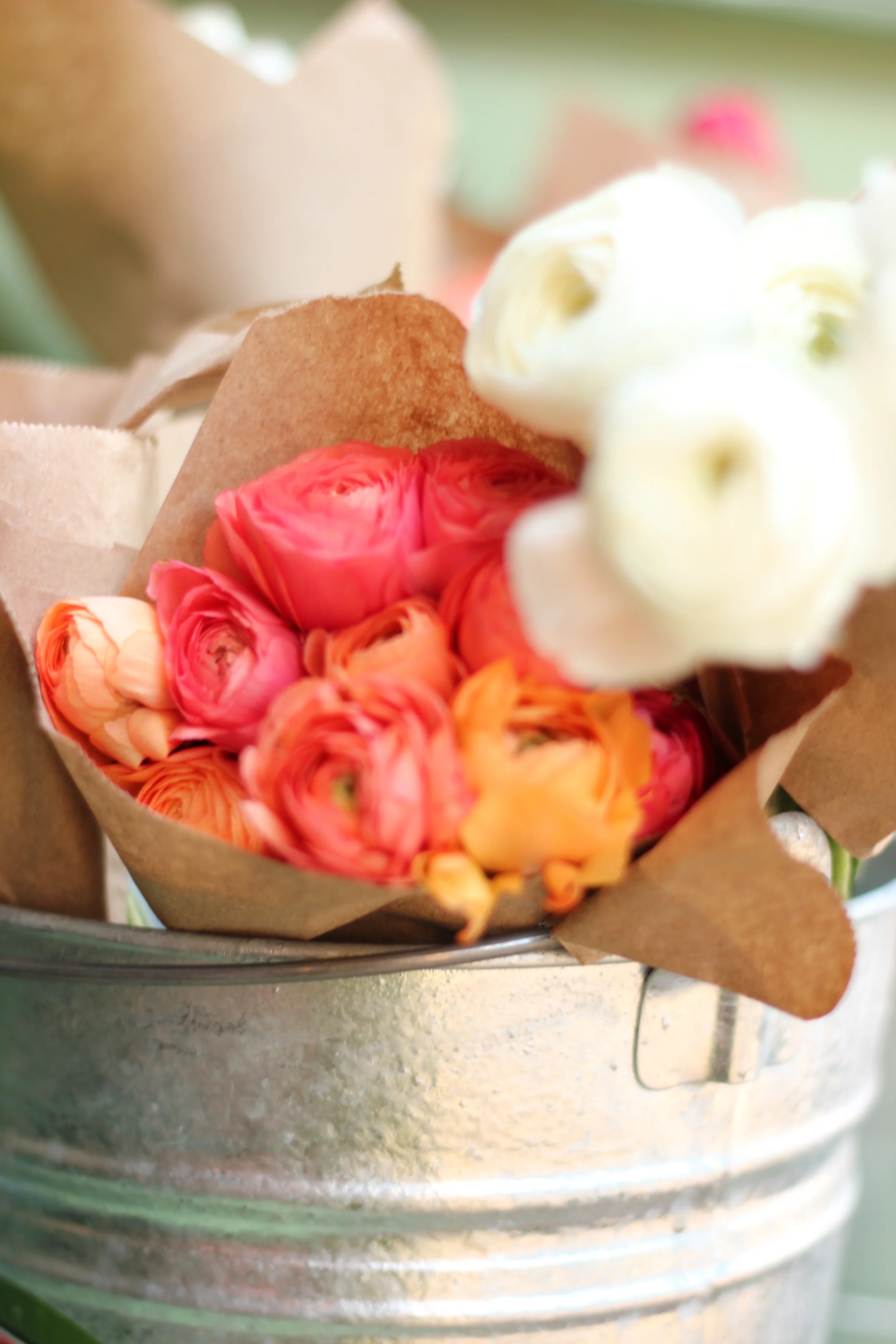 Among my favorite seasonal flowers, these lovely little ranunculus come from Figone farms located in Half Moon Bay.