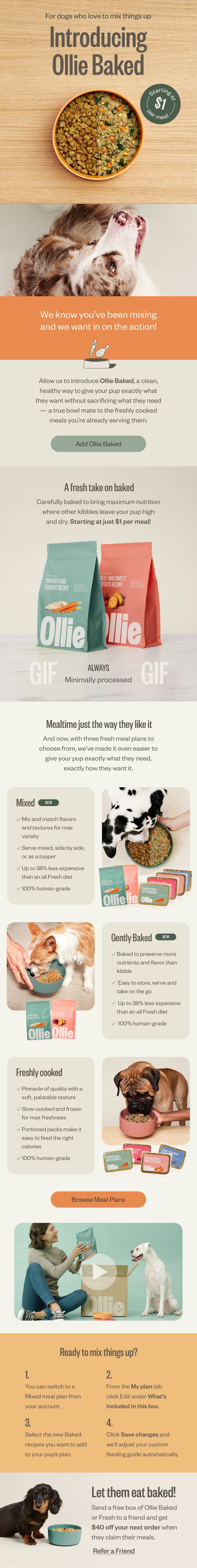 email-Apr22-DL-Subs-V1 copy.jpg