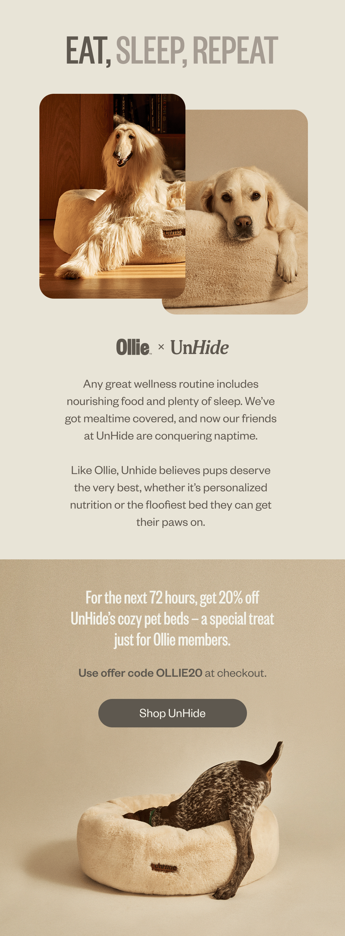 email-Oct22-UnHidexOllie copy.gif