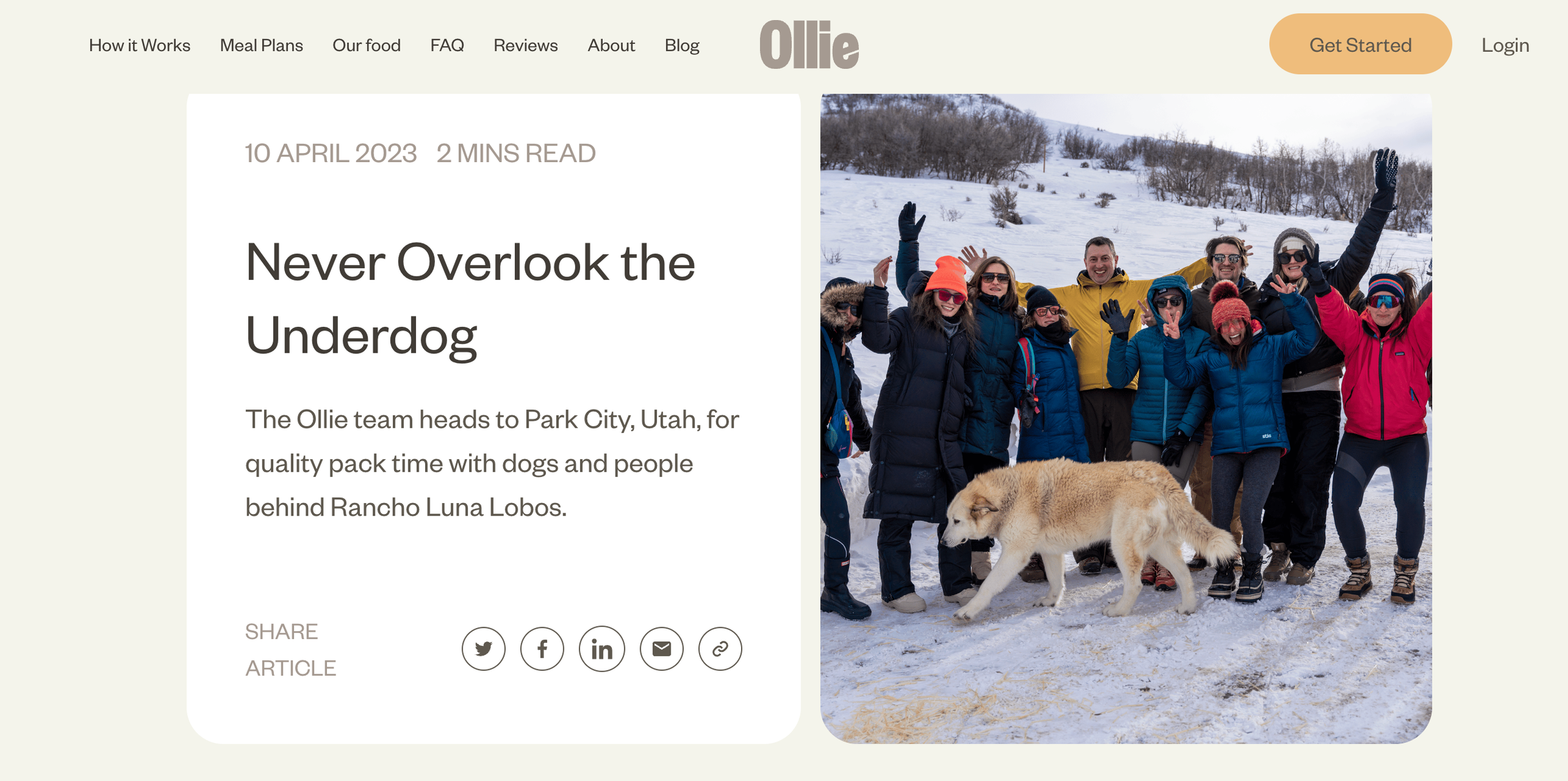 Ollie Community Blog